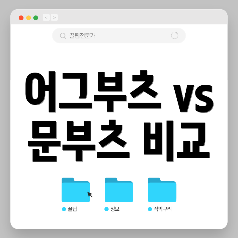 어그부츠 vs 문부츠 비교