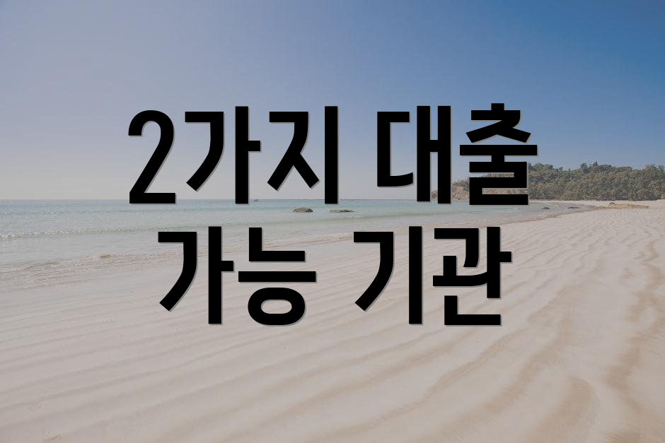 2가지 대출 가능 기관