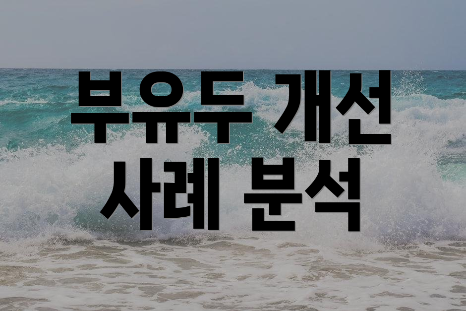 부유두 개선 사례 분석