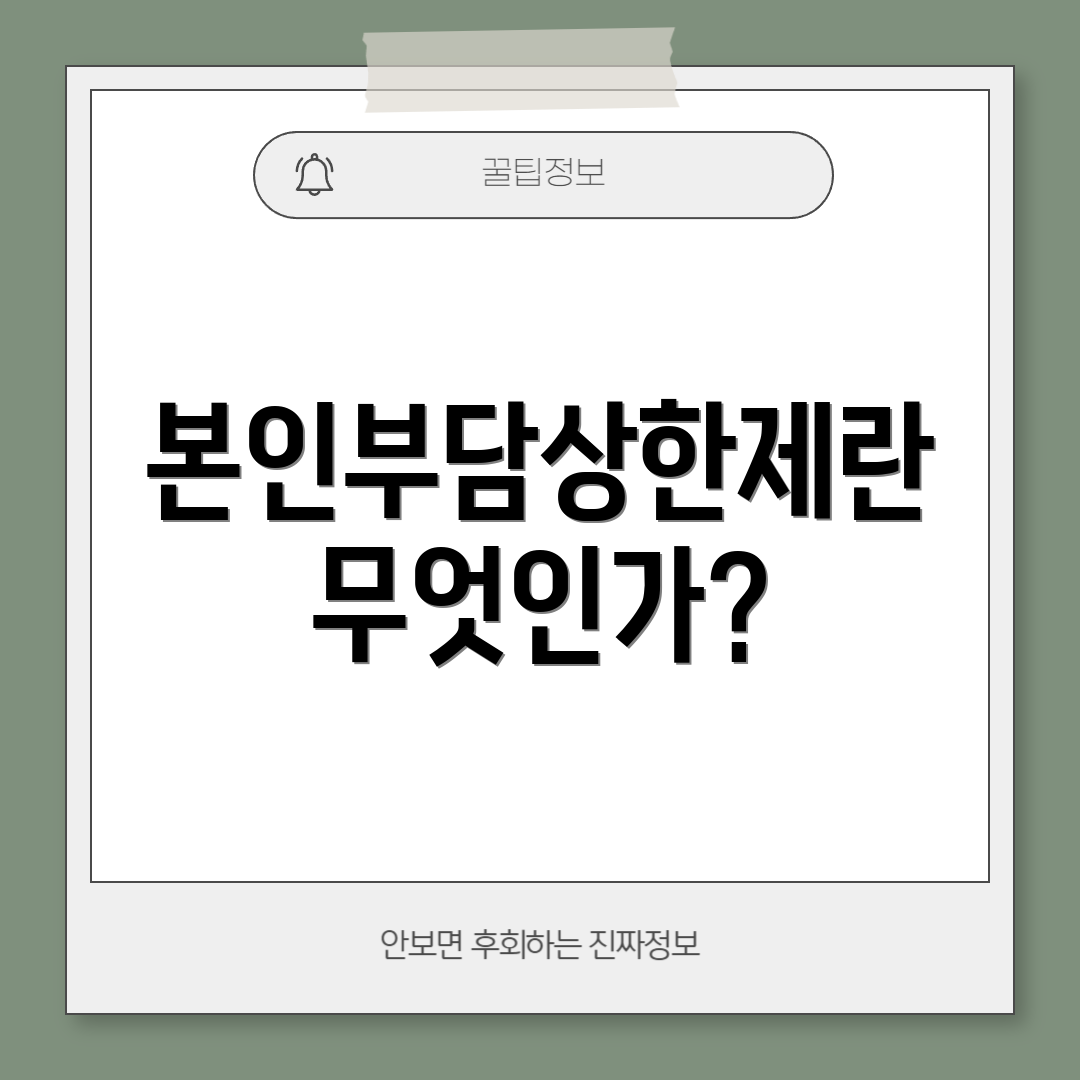 본인부담상한제란 무엇인가?