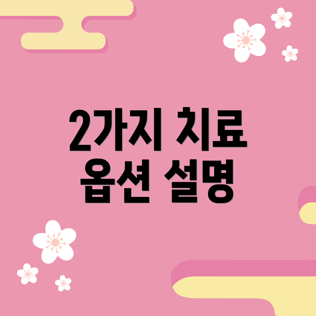 2가지 치료 옵션 설명