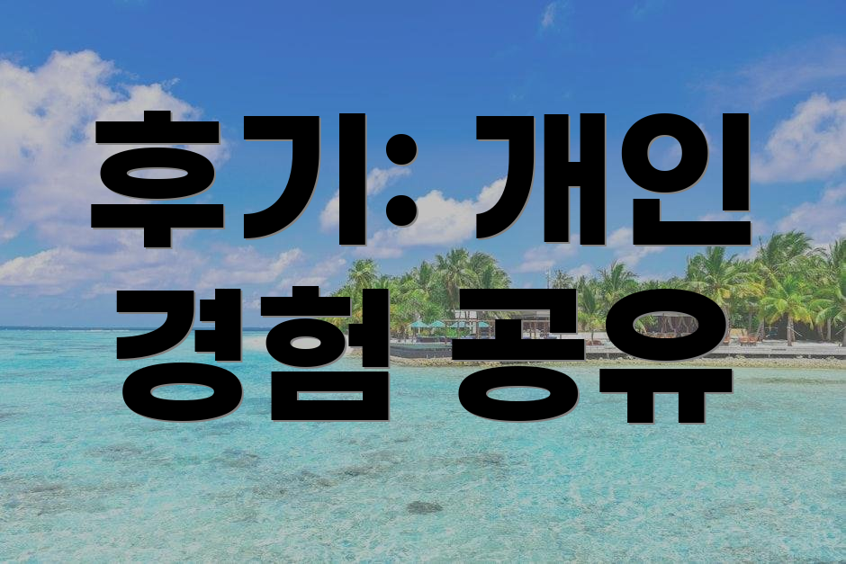후기: 개인 경험 공유