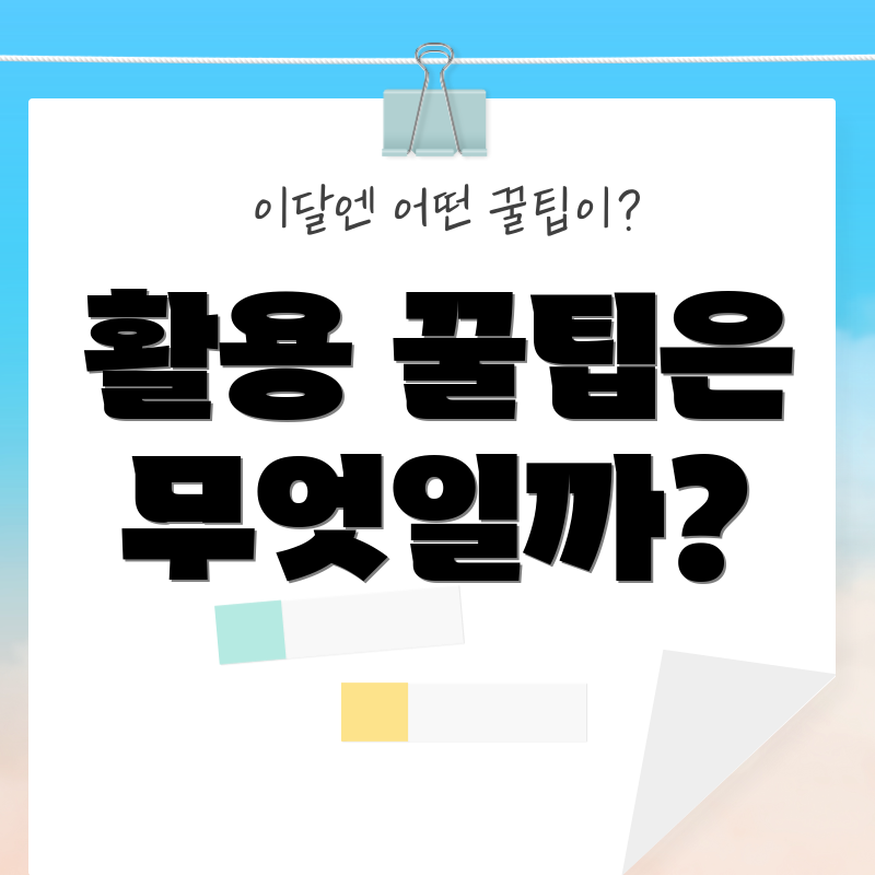활용 꿀팁은 무엇일까?