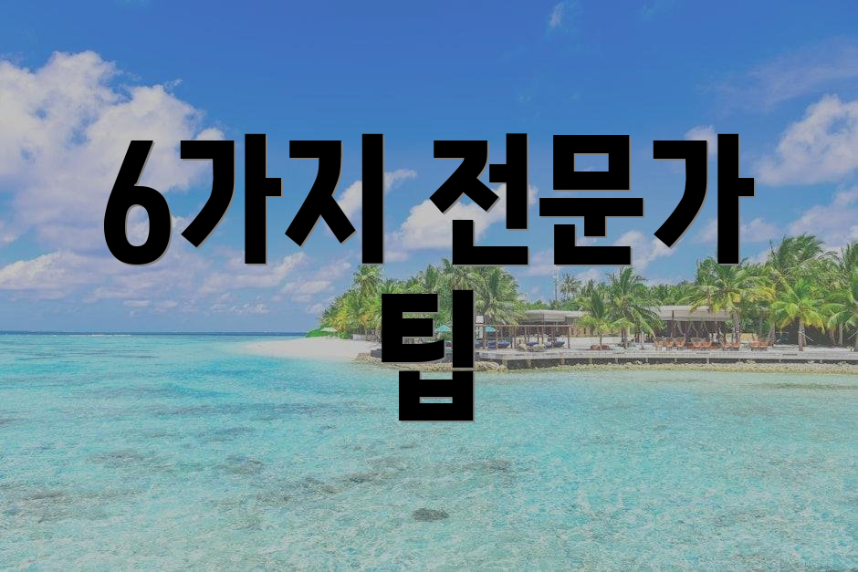 6가지 전문가 팁