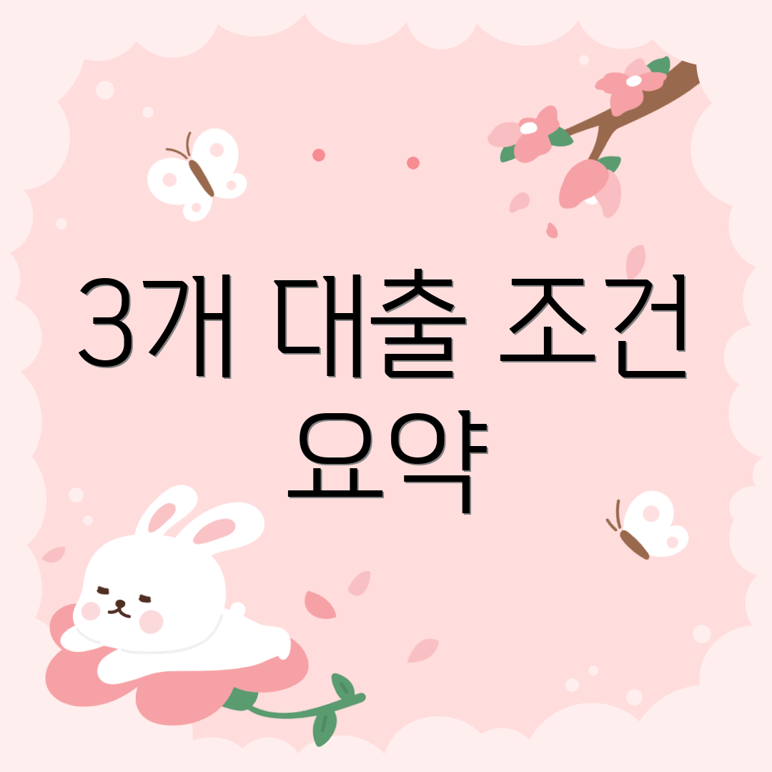 3개 대출 조건 요약