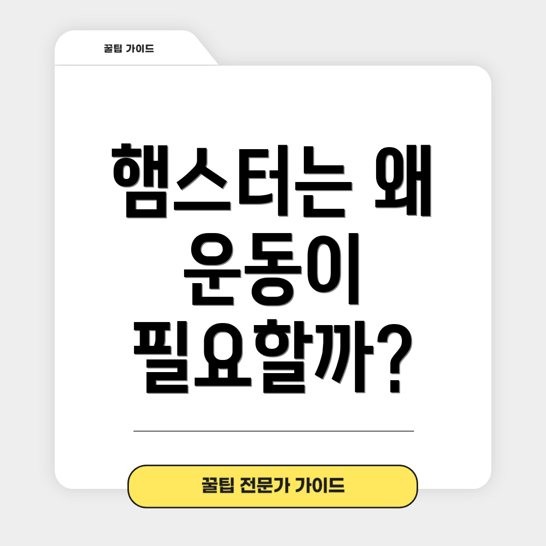 햄스터는 왜 운동이 필요할까?
