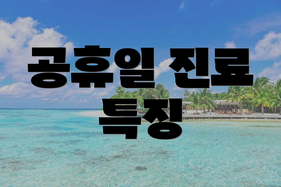 공휴일 진료 특징