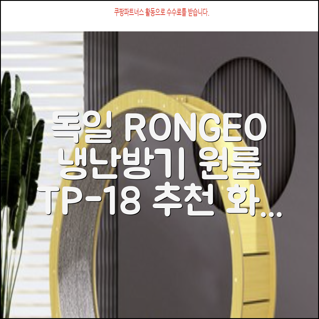 독일 RONGEO 가정용 사무실 냉난방기 냉온풍기 원룸, TP-18(냉난방가능/화이트) 추천 리뷰