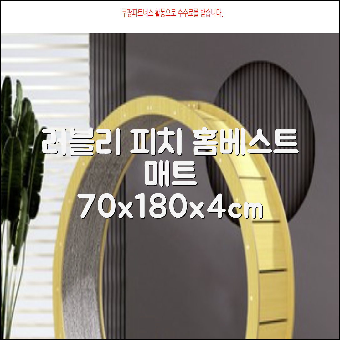 홈베스트 트레이닝 매트 70x180x4cm, 러블리_피치 추천 리뷰